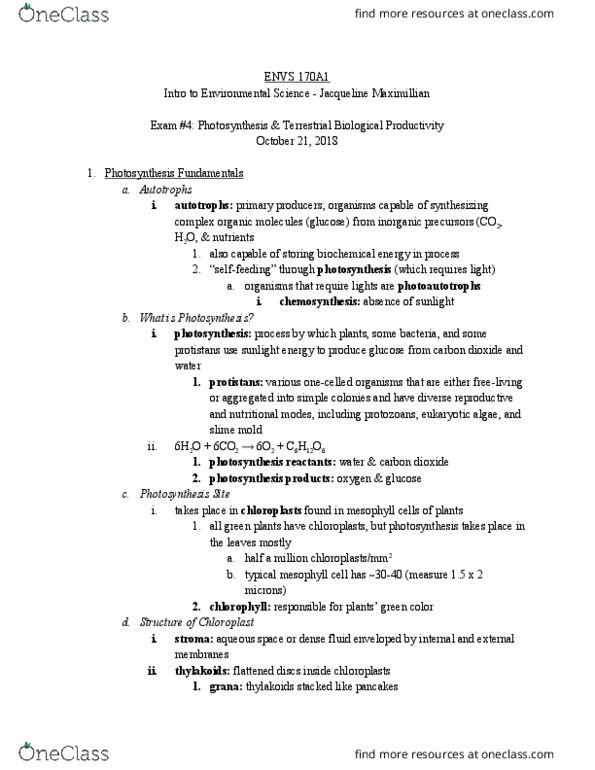 ENVS 170A1 Chapter Notes - Chapter 6-7: Leaf, Chemosynthesis, Chloroplast thumbnail