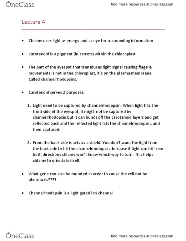 Biology 1002B Lecture Notes - Lecture 4: Channelrhodopsin, Carotenoid, Simple Eye In Invertebrates thumbnail