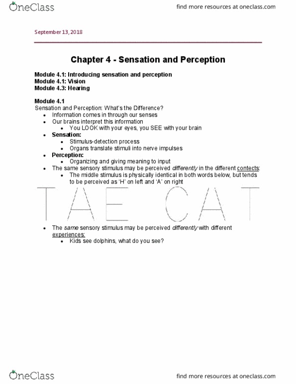 PSYC 1000 Lecture Notes - Lecture 4: Cochlear Implant, Interposition, Temporal Lobe thumbnail