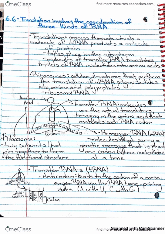 BIOL 002 Lecture 9: new doc 2018-10-22 12.56.19 thumbnail