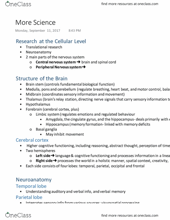 Psychology 2030A/B Lecture Notes - Lecture 2: Occipital Lobe, Parietal Lobe, Peripheral Nervous System thumbnail