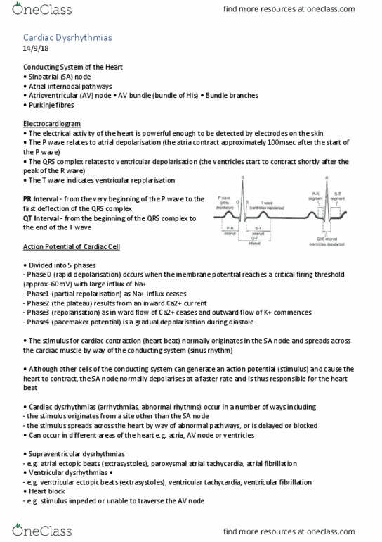 PCOL2605 Lecture Notes - Lecture 21: Atrial Tachycardia, Cardiac Arrhythmia, Ventricular Fibrillation thumbnail