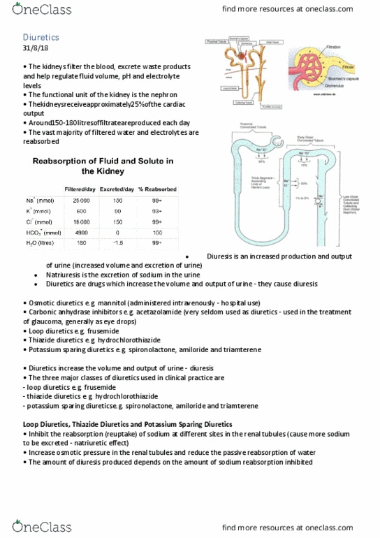 PCOL2605 Lecture Notes - Lecture 15: Carbonic Anhydrase Inhibitor, Triamterene, Diuretic thumbnail