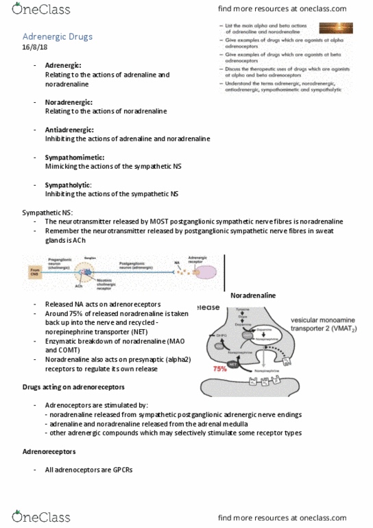 PCOL2605 Lecture Notes - Lecture 8: Norepinephrine Transporter, Sympathetic Nervous System, Adrenal Medulla thumbnail