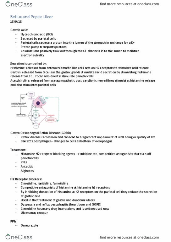 PCOL2605 Lecture Notes - Lecture 22: Aluminium Hydroxide, Peptic Ulcer, Osteoporosis thumbnail