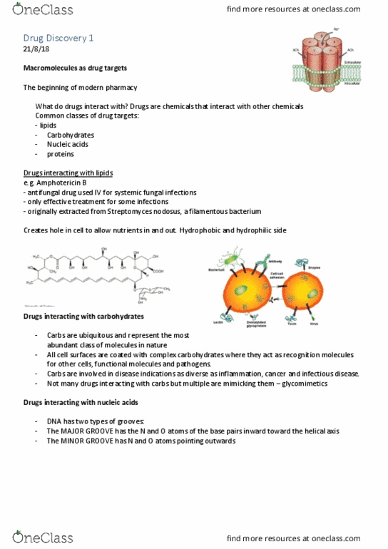 PCOL2605 Lecture Notes - Lecture 2: Drug Discovery, Antifungal, Amphotericin B thumbnail