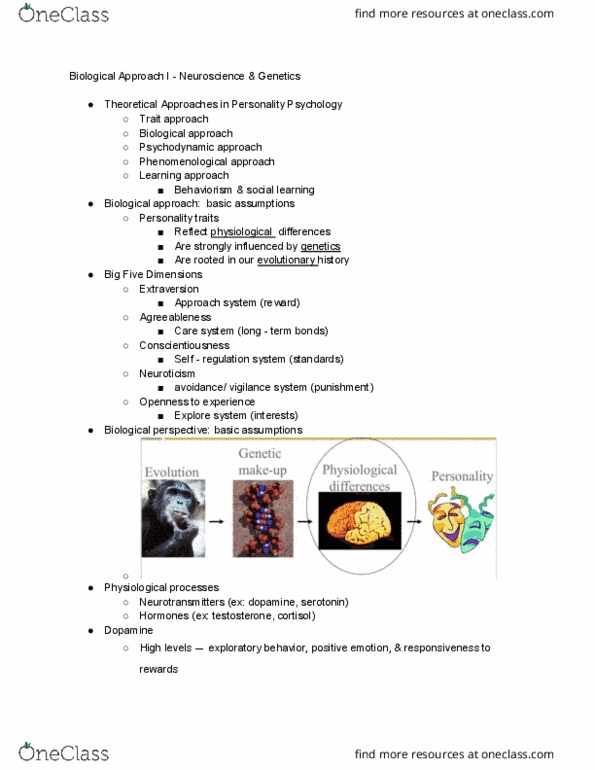 PSC 162 Lecture Notes - Lecture 7: Neuroticism, Brain Damage, Behavioural Genetics thumbnail