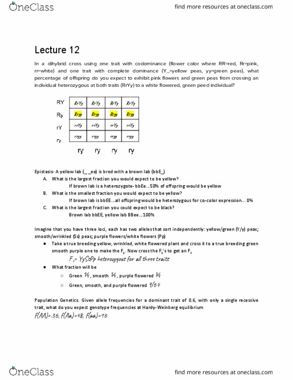 BIS 2B Lecture Notes - Lecture 12: Dihybrid Cross, Allele Frequency, Genotype Frequency thumbnail