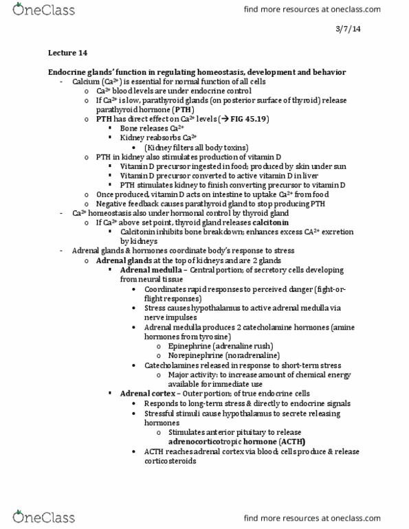 01:119:116 Lecture Notes - Lecture 14: Parathyroid Gland, Adrenal Medulla, Adrenal Gland thumbnail