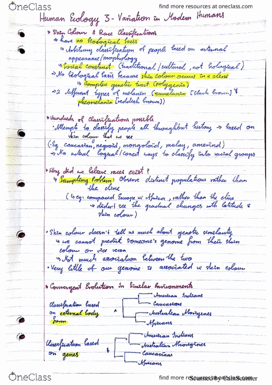 ANHB1102 Lecture 35: Human Ecology 3 - Variation in Modern Humans thumbnail