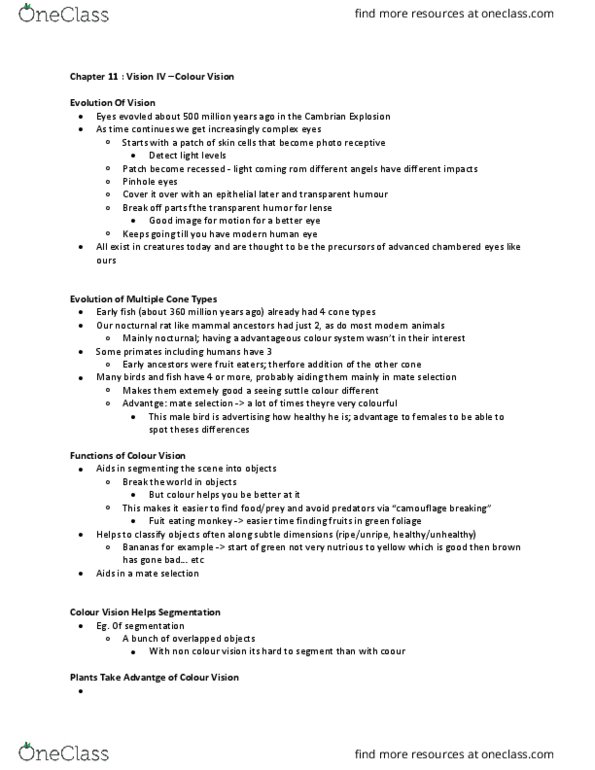 PSY 3108 Lecture Notes - Lecture 11: Recessed Light, Cambrian Explosion, Color Vision thumbnail