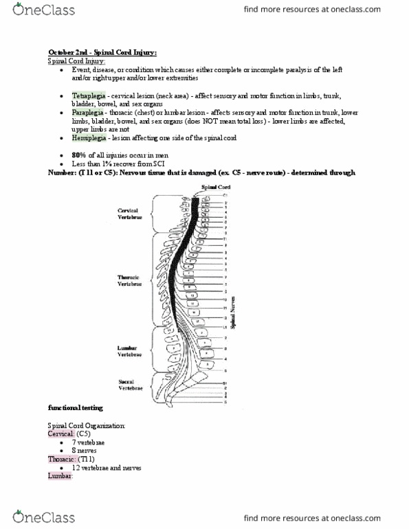 KRLS 207 Lecture Notes - Lecture 8: Tetraplegia, Hemiparesis, Paraplegia thumbnail