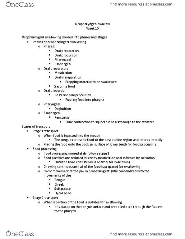 SPA 3101 Lecture Notes - Lecture 19: Hyoid Bone, Soft Palate, Food Processing thumbnail