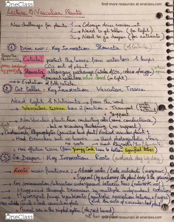 BIOL 111 Lecture 15: Vascular Plants cover image