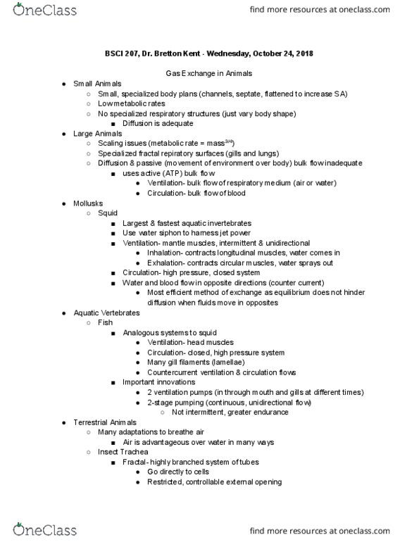 BSCI 207 Lecture Notes - Lecture 23: Exhalation, Trachea, Bird Anatomy thumbnail