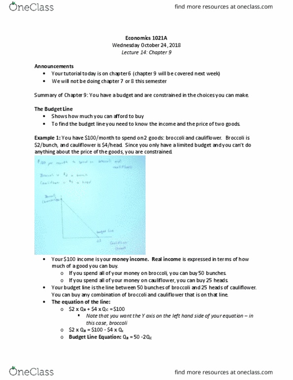 Economics 1021A/B Lecture Notes - Lecture 14: Broccoli, Real Income, Relative Price thumbnail