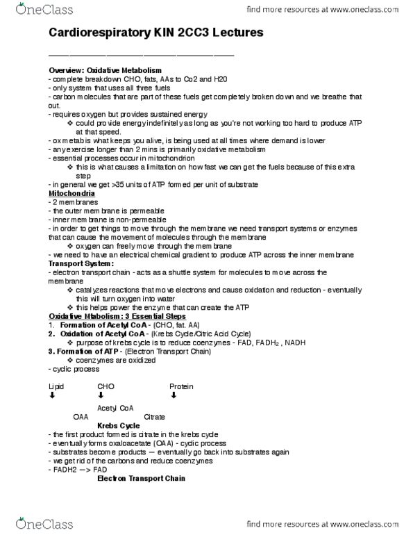 KINESIOL 2CC3 Lecture Notes - Vo2 Max, Cytosol, Cytochrome C Oxidase thumbnail