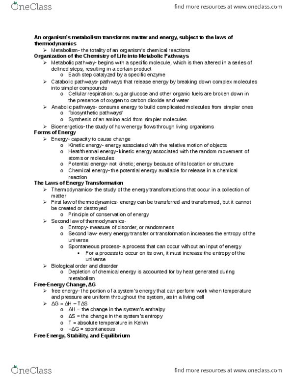 BIO SCI 93 Chapter Notes -Exergonic Reaction, Adenine, Hydrolysis thumbnail