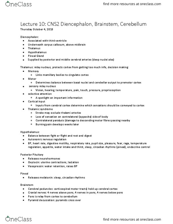 HTHSCI 1H06 Lecture Notes - Lecture 10: Middle Cerebral Artery, Cerebellum, Circadian Rhythm thumbnail