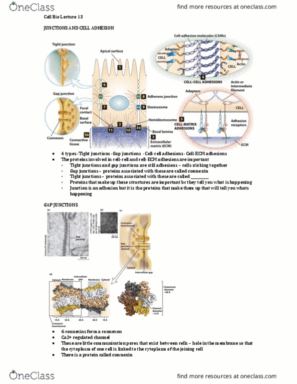 document preview image