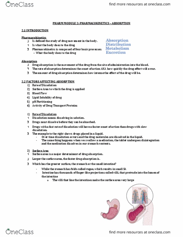 Pharmacology 2060A/B Lecture Notes - Lecture 2: Oral Mucosa, Drug Metabolism, Vastus Lateralis Muscle thumbnail