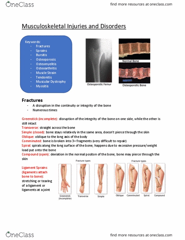 BIOM 3010 Lecture Notes - Lecture 4: Myositis, Osteomyelitis, Sprain thumbnail