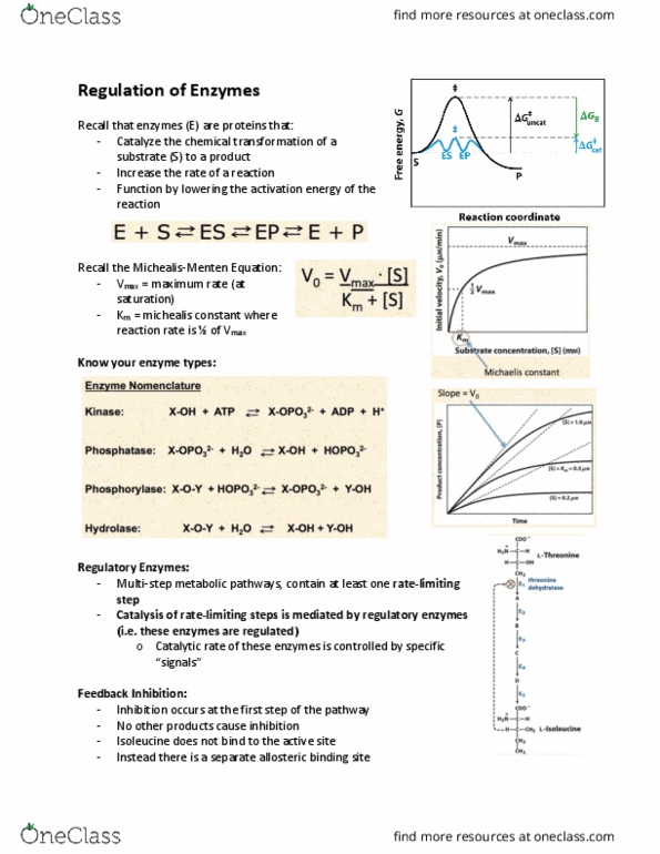 BIOC 3560 Lecture Notes - Lecture 5: Enzyme Catalysis, Best Response, Enzyme Inhibitor thumbnail