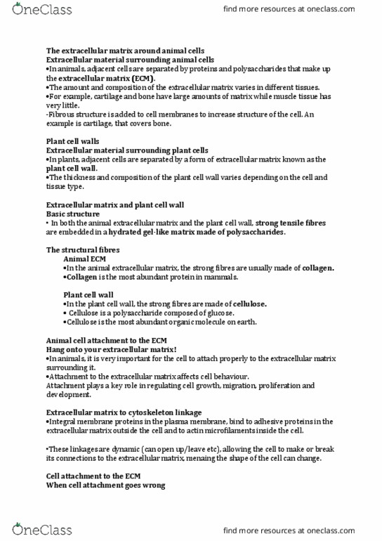 BIOL1004 Lecture Notes - Lecture 12: The Plant Cell, Plant Cell, Cell Membrane thumbnail