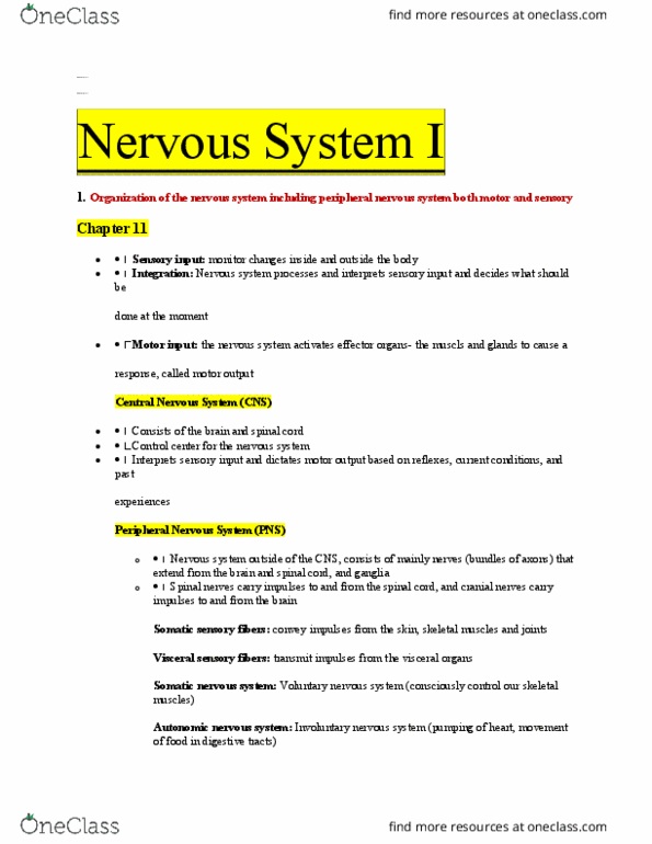 HTHSCI 1CC6 Lecture Notes - Lecture 20: Central Nervous System, Somatic Nervous System, Peripheral Nervous System thumbnail