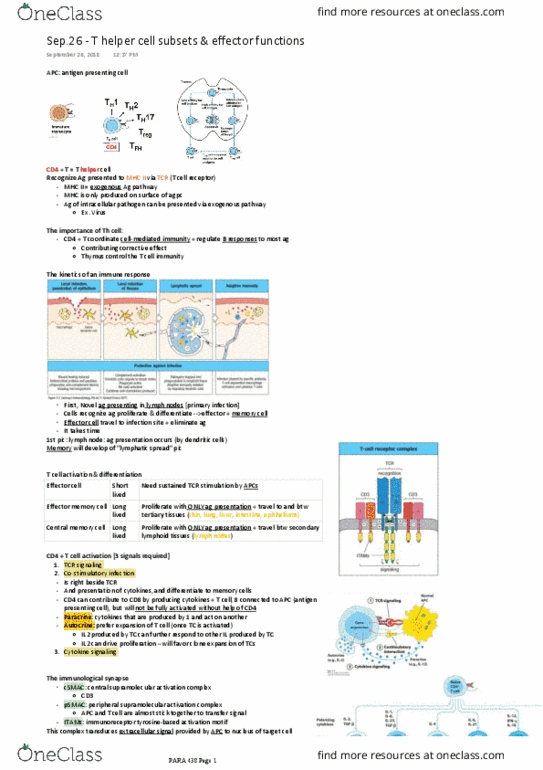 PARA 438 Lecture Notes - Lecture 8: Antigen-Presenting Cell, Lymph Node, Mhc Class Ii thumbnail