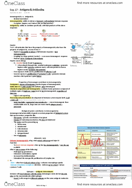 PARA 438 Lecture Notes - Lecture 5: Cytotoxic T Cell, Hapten, Immunogen thumbnail