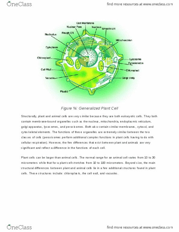 BIL 611 Lecture Notes - Chlorophyll, Endoplasmic Reticulum, Golgi Apparatus thumbnail