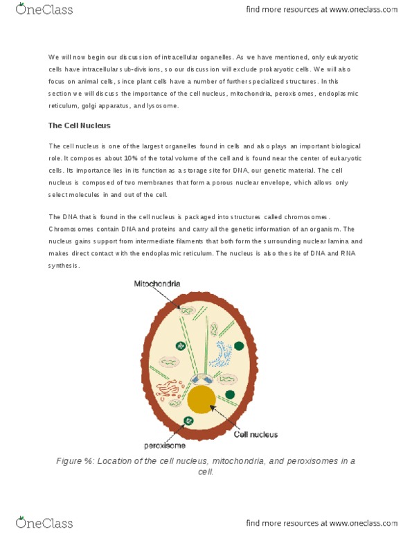 BIL 498 Lecture Notes - Protein Folding, Cytosol, Endosome thumbnail