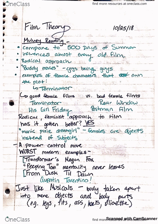 FILM 3104 Lecture 9: Film Theory 9 thumbnail