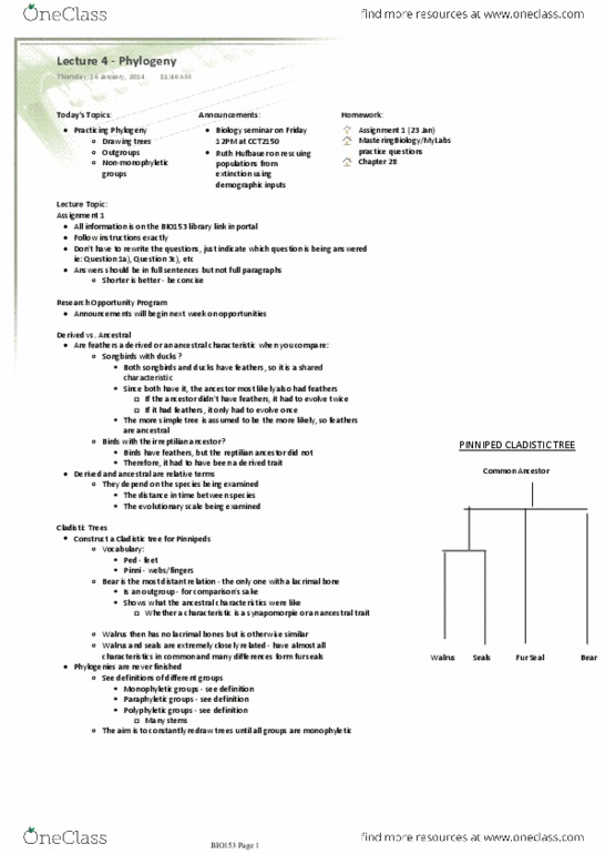 BIO153H5 Lecture Notes - Lecture 4: Cladistics, Paraphyly, Lacrimal Bone thumbnail