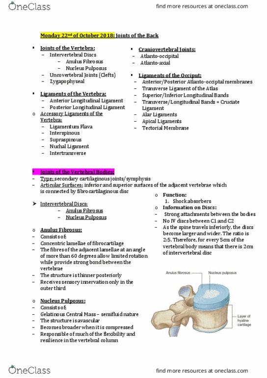 HLTH109 Lecture Notes - Lecture 20: Posterior Longitudinal Ligament, Nuchal Ligament, Intervertebral Disc thumbnail