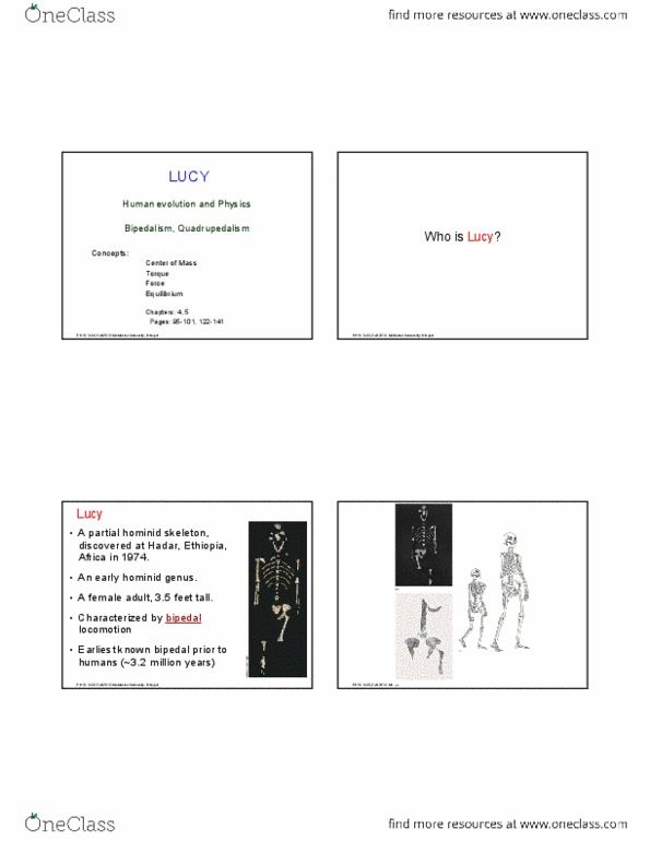PHYSICS 1L03 Lecture Notes - Australopithecus, Njtv, High-Level Shading Language thumbnail