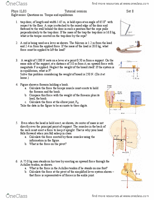 PHYSICS 1L03 Lecture Notes - Isometric Exercise, Triceps Brachii Muscle, Spark Plug thumbnail