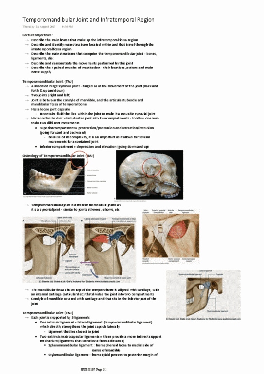 HUBS1107 Lecture 2: HUBS1107 - Temporomandibular Joint and Infratemporal Region thumbnail