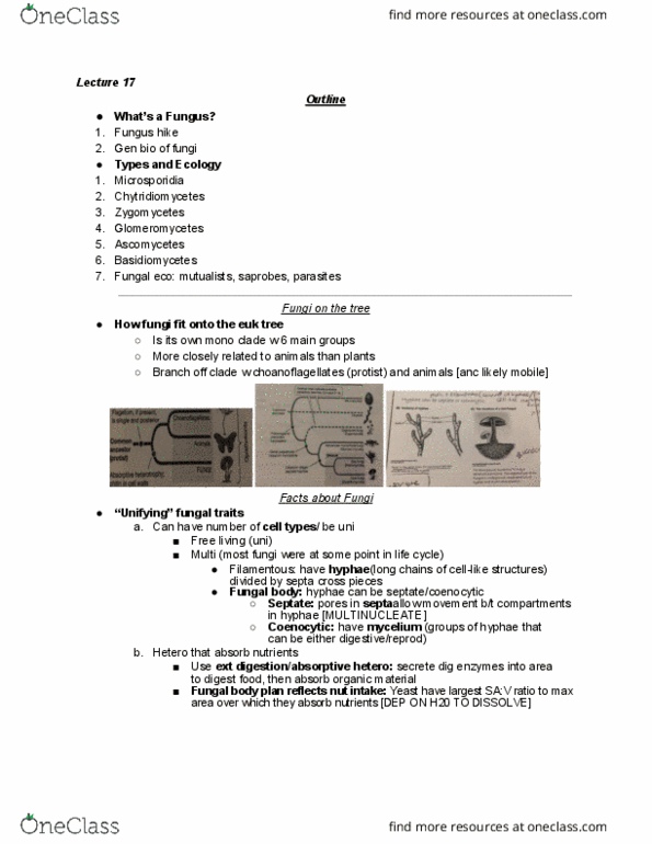 BIO 200 Lecture 17: Lecture 17 thumbnail