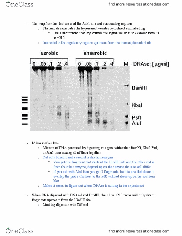 document preview image