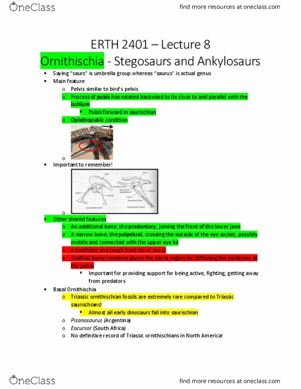 ERTH 2401 Lecture 8: Stegosaurs and Ankylosaurs thumbnail