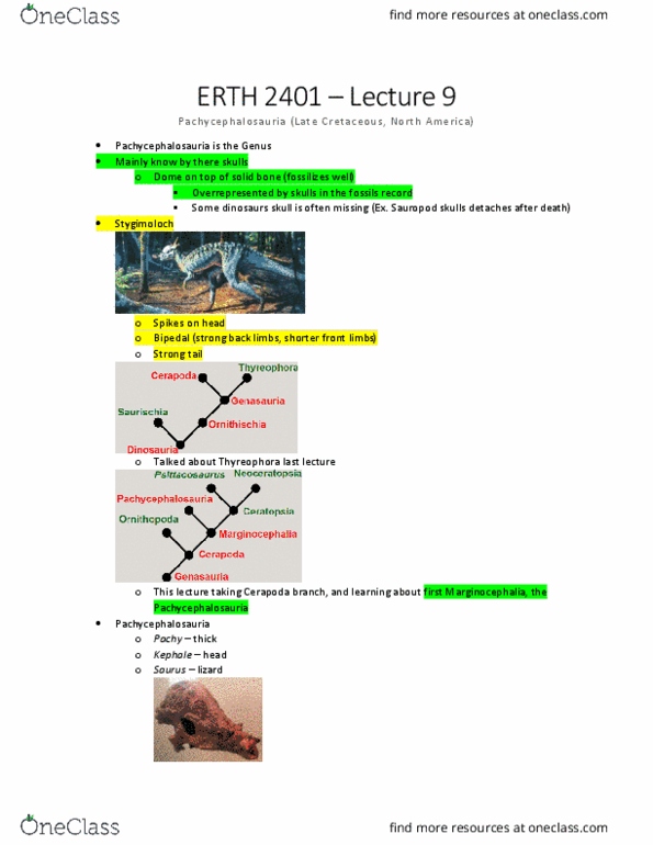 ERTH 2401 Lecture Notes - Lecture 9: Stygimoloch, Cerapoda, Thyreophora thumbnail