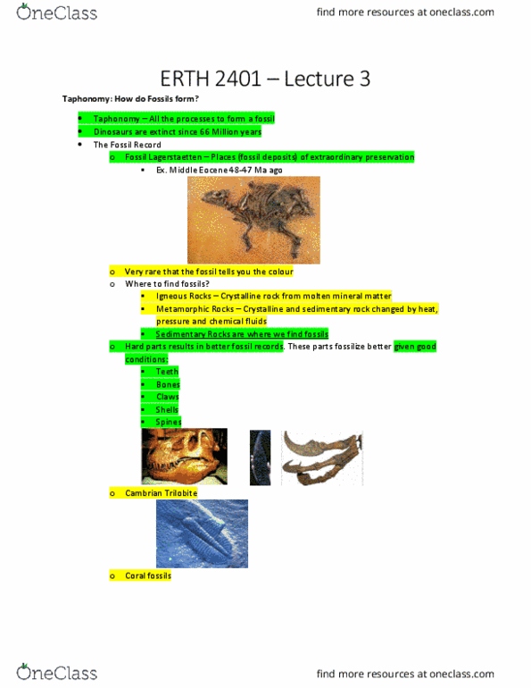 ERTH 2401 Lecture Notes - Lecture 3: Eocene, Taphonomy, Trilobite thumbnail