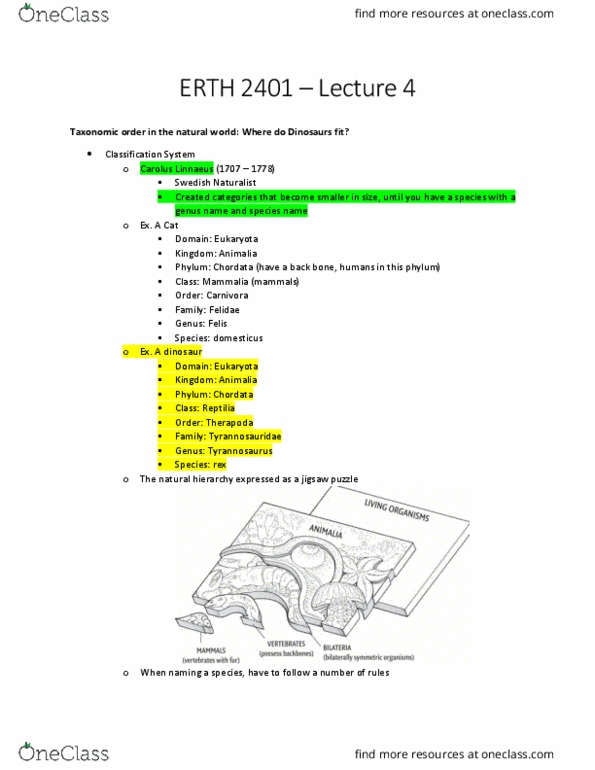 ERTH 2401 Lecture Notes - Lecture 4: Carl Linnaeus, Jigsaw Puzzle, Tyrannosauridae thumbnail