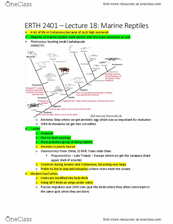 ERTH 2401 Lecture Notes - Lecture 18: Marine Reptile, Proganochelys, Platecarpus thumbnail