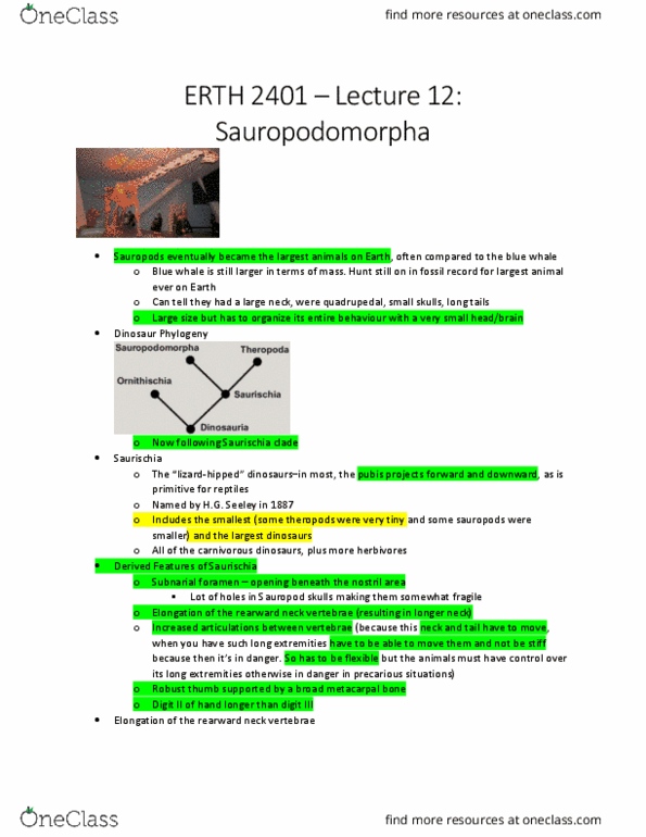 ERTH 2401 Lecture 12: Sauropodomorpha thumbnail