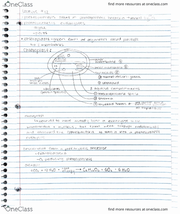 BIOLOGY 151 Lecture Notes - Lecture 12: .Pt thumbnail