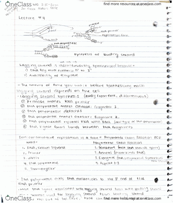 BIOLOGY 151 Lecture 18: bio lecture 18 thumbnail