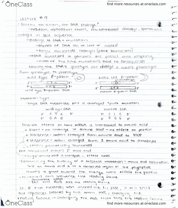 BIOLOGY 151 Lecture Notes - Lecture 23: Valtion Lentokonetehdas thumbnail